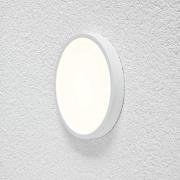 EVN Planus LED-panel Ø 19,2 cm 18 W 3 000 K