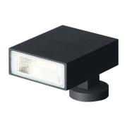 Wever & Ducré Lighting WEVER & DUCRÉ Stake 1.0 utomhusstrålkastare ant...