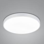 Trio Lighting LED-taklampa Waco, CCT, Ø 49,5 cm, matt vit