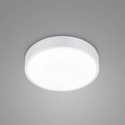 Trio Lighting LED-taklampa Waco, CCT, Ø 31cm, matt vit