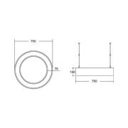 BRUMBERG Biro Circle Ring10 direkt Ø 75 cm DALI vit 830