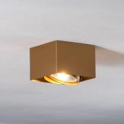 Argon Takspotlight Riesta, guld, 1 lampa