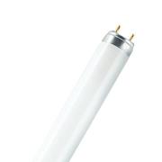 OSRAM lysrör LUMILUX, G13 T8, 120 cm 2 700 K 36 W