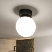 Paulmann Gove LED-taklampa, svart, IP44