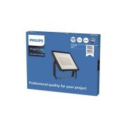 Philips ProjectLine LED-spot utomhus 6 500 K 100 W