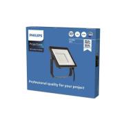 Philips ProjectLine LED-spot utomhus 6 500 K 30 W