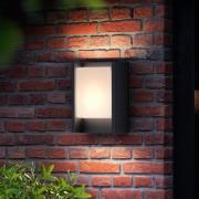 Philips LED-utomhusvägglampa Arbour UE, 3 000 K