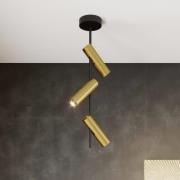 SIGMA Takspotlight Leda 3, 3 lampor, svart-guld