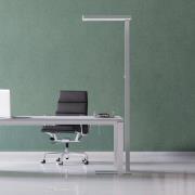 LED-golvlampa MAULjaval, silverfärgad, 196 cm, dimbar sockel