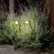 FARO BARCELONA LED-sockellampa Cuca, svart, stål/glas, höjd 65 cm