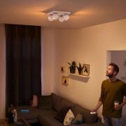 Philips Hue Buckram 4 lampor dimmerbrytare vit