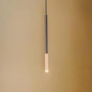 Euluna Thalassa hänglampa 1 lampa G9 svart/koppar