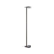 Brilliant LED-golvlampa Mora, antracit, höjd 178 cm, metall