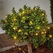 STAR TRADING Dew Drop - solarljusslinga 250 cm lång