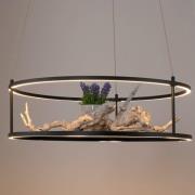 Paul Neuhaus LED-pendellampa Contura, svart, Ø 50 cm