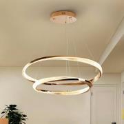 Schuller Valencia LED-hänglampa Orbitas, Ø 80 cm, guldfärgad, metall, ...