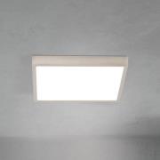 ORION LED-taklampa Disc, nickelfärgad satinering Längd 24 cm CCT