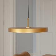 UMAGE LED-hänglampa Asteria Medium, mässingsfärgad Ø 43 cm