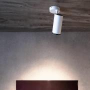 Deko-Light LED-takspotlight Lucea, justerbar, 20 W vit