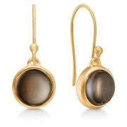 Frk. Lisberg Earrings Brown, Dam