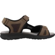 Geox Modernt Platta Sandaler Brown, Herr