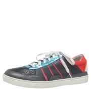 Dolce & Gabbana Pre-owned Pre-owned Laeder sneakers Multicolor, Dam