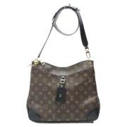 Louis Vuitton Vintage Pre-owned Canvas axelremsvskor Brown, Dam