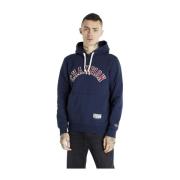 Champion Hoodies Blue, Herr