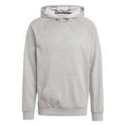 Adidas Hoodie Gray, Herr