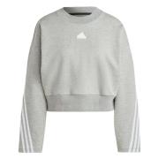 Adidas Framtida Ikon 3 Bandas Hoodie Gray, Dam