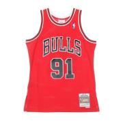 Mitchell & Ness Chicago Bulls Rodman Swingman Jersey Red, Herr