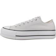 Converse Höjda Chuck Taylor Sneakers Gray, Dam