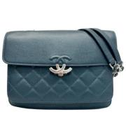 Chanel Vintage Pre-owned Laeder chanel-vskor Blue, Dam