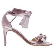 Alexandre Birman Pre-owned Pre-owned Sammet klackskor Purple, Dam