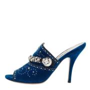 Miu Miu Pre-owned Pre-owned Sammet mules Blue, Dam