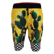 Dolce & Gabbana Kaktus Print Sweat Shorts Multicolor, Herr