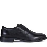 Geox Gladwin Classic Lace Up Black, Herr