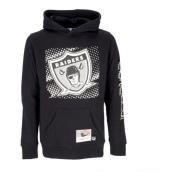 Mitchell & Ness Oakland Raiders NFL Big Face Hoodie Black, Herr