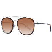 BMW Brun Aviator Solglasögon Gradient Linser Brown, Herr