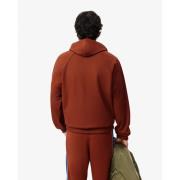 Lacoste Brun Avslappnad Hoodie Herr Brown, Herr