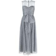 RED Valentino Valentino Röd Glittrig Ärmelös Midi Klänning Gray, Dam