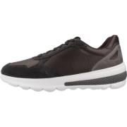 Geox Spherica Actif Sneakers Brown, Herr