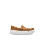 UGG Skor M Ascot Vibram Wrap Tech Beige, Herr