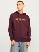 Sweatshirt 'JJALVIS'