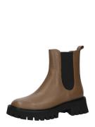 Chelsea boots 'ASHER'