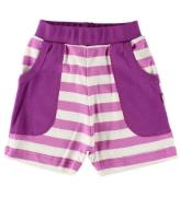 Katvig Sweatshorts - Fuchsia/Vitrandig