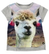 Molo T-shirt - Erin - Lama