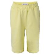 Hound Shorts - Warm Yellow