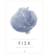 Citatplakat Affisch - A3 - Constellation - Fisk - BlÃ¥