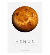 Citatplakat Affisch - B2 - Venus